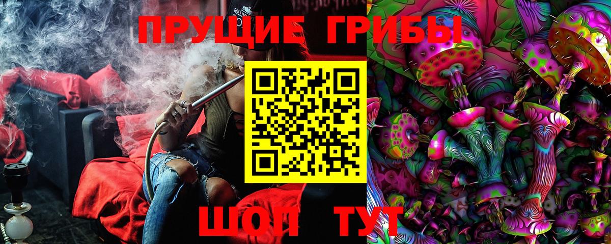 Канаш  Псилоцибиновые грибы мицелий  Псилоцибиновые грибы GOLDEN TEACHER  Вход с VPN 