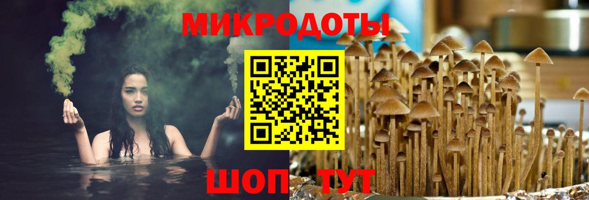 Псилоцибиновые грибы ЛСД Канаш